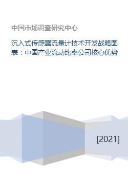 沉入式傳感器流量計(jì)技術(shù)開發(fā)戰(zhàn)略與中國產(chǎn)業(yè)流動(dòng)比率公司核心優(yōu)勢分析